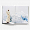 Vogue: Fantasy & Fashion Book