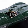 1955 Jaguar XKD