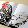 Food in Vogue Book